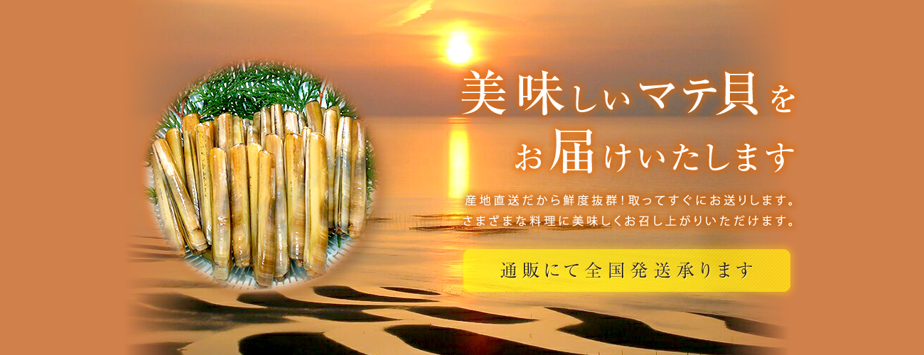 美味しいマテ貝をお届けいたします